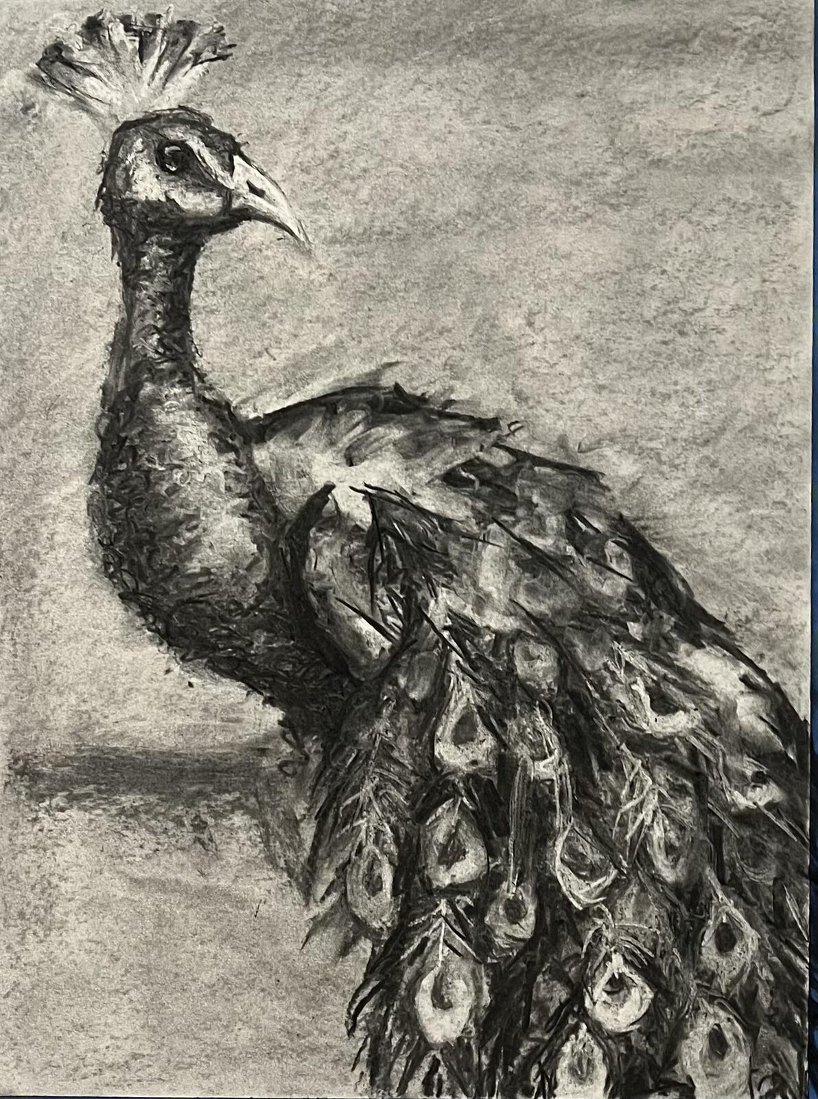 Monochrome Elegance — Charcoal by Ayala Levy