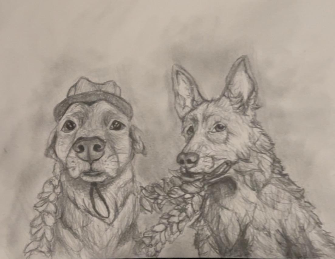 Suspiciously Innocent — Graphite by Ayala Levy